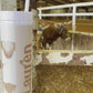 Fluffy Highland Cow Pattern Personalized Skinny Tumbler with Lid and Straw, 16 oz Matte Black Acrylic Tumbler Insulated Double Wall Plastic Reusable Cups