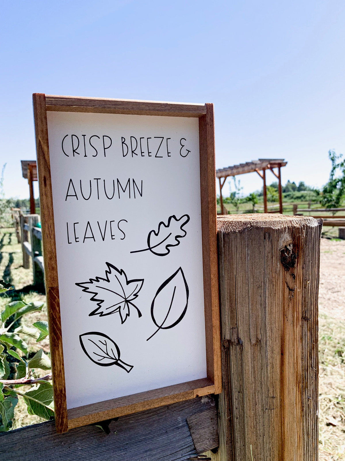 Crisp Breeze & Autumn Leaves Framed Fall Wood Sign