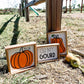 Oh My Gourd & Pumpkins