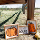 Oh My Gourd & Pumpkins
