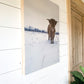 Macho in the snow; winter scene; scottish highland bull cow; photo on wood box