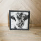 Fluffy Calf Closeup Scottish Highland Cow Black and White Farmhouse wood sign