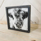Fluffy Calf Closeup Scottish Highland Cow Black and White Farmhouse wood sign