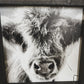 Fluffy Calf Closeup Scottish Highland Cow Black and White Farmhouse wood sign